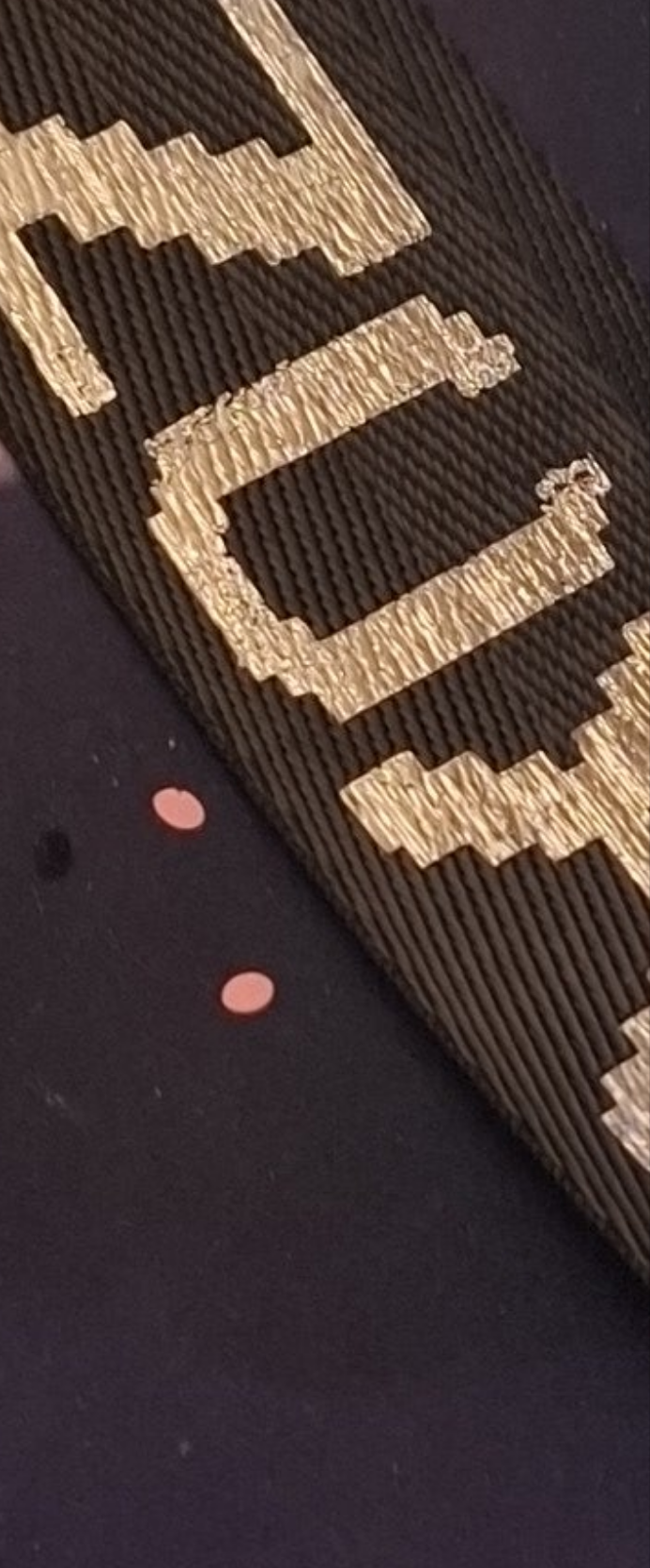 Twenty one pilots Clancy stole