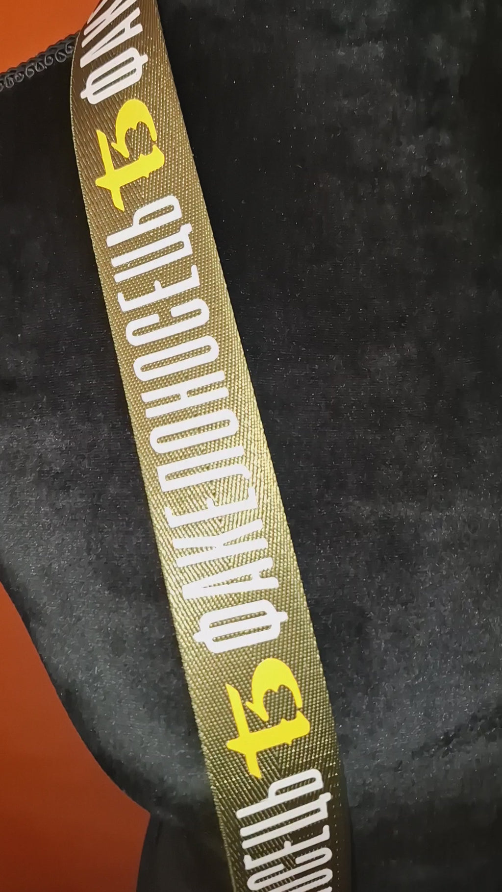Twenty one pilots Torchbear stole