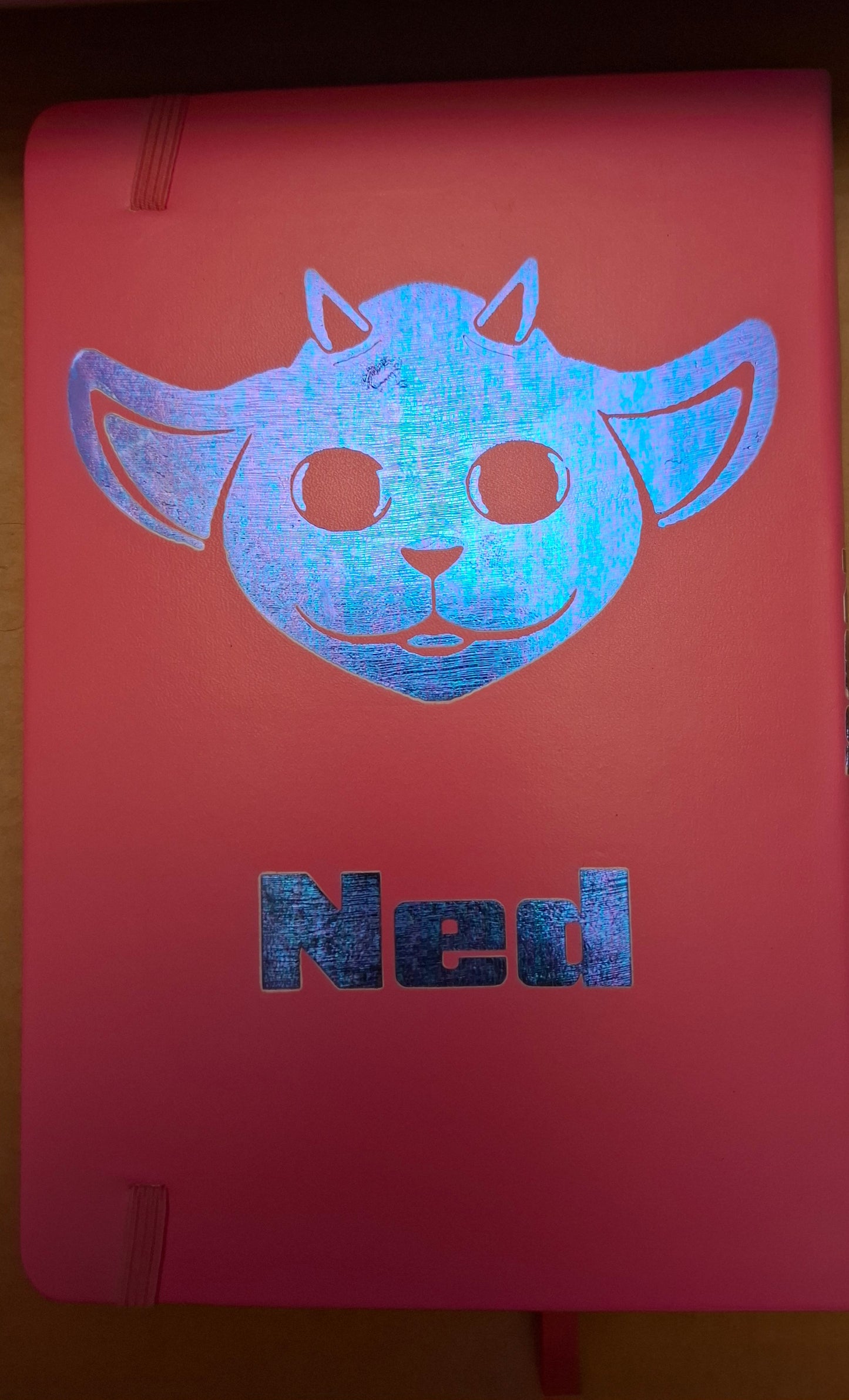 Twenty one pilots Ned Notebook